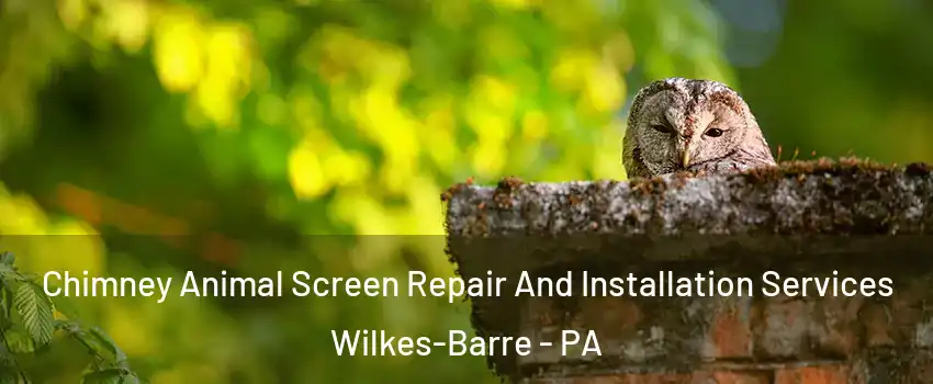  Chimney Animal Screen Repair And Installation Services Wilkes-Barre - PA