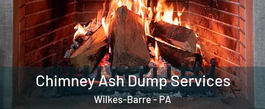  Chimney Ash Dump Services Wilkes-Barre - PA