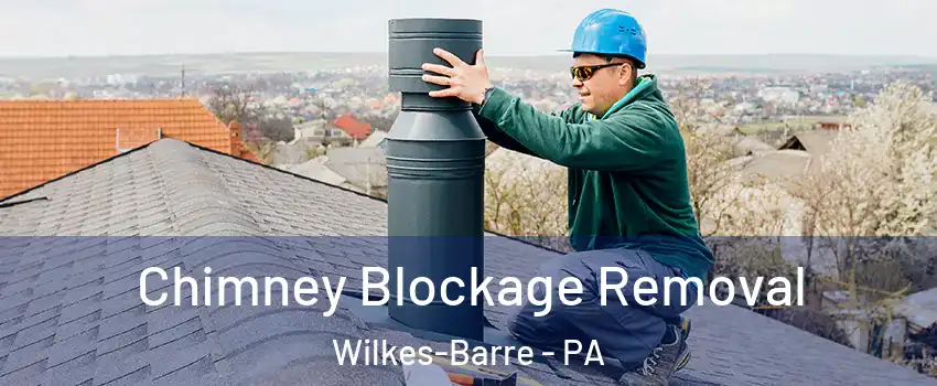  Chimney Blockage Removal Wilkes-Barre - PA