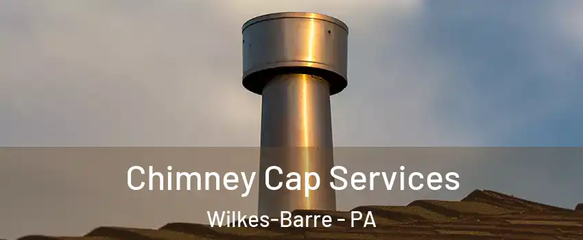  Chimney Cap Services Wilkes-Barre - PA