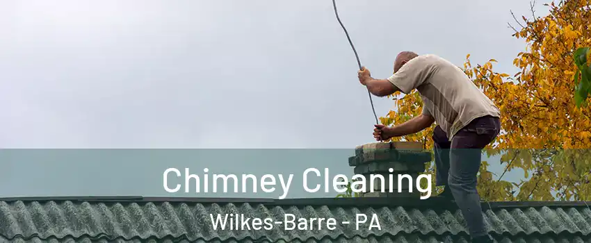  Chimney Cleaning Wilkes-Barre - PA