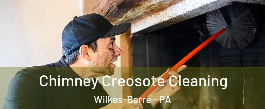  Chimney Creosote Cleaning Wilkes-Barre - PA
