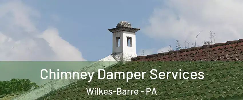  Chimney Damper Services Wilkes-Barre - PA