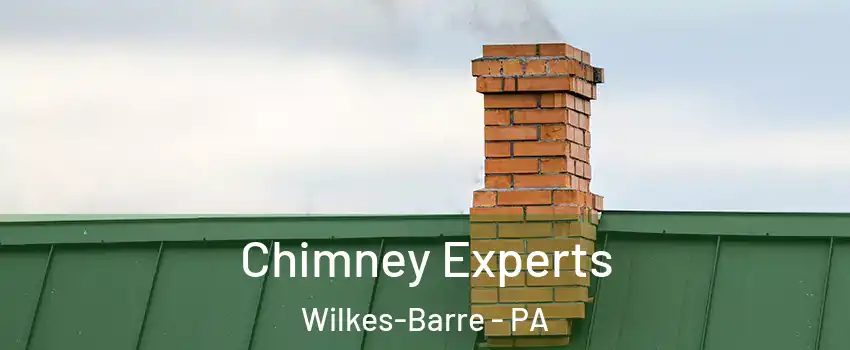 Chimney Experts Wilkes-Barre - PA