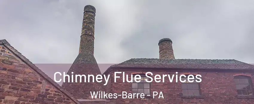  Chimney Flue Services Wilkes-Barre - PA