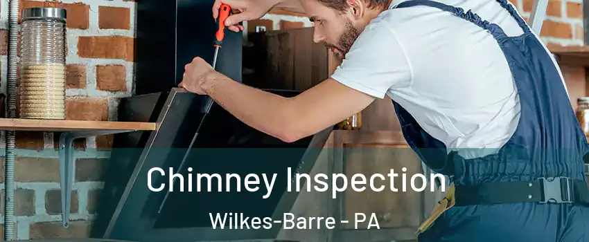  Chimney Inspection Wilkes-Barre - PA