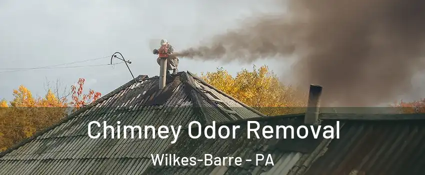  Chimney Odor Removal Wilkes-Barre - PA