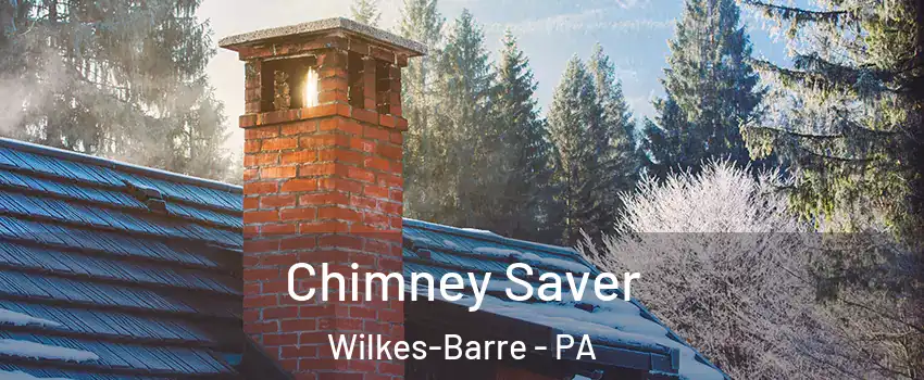  Chimney Saver Wilkes-Barre - PA