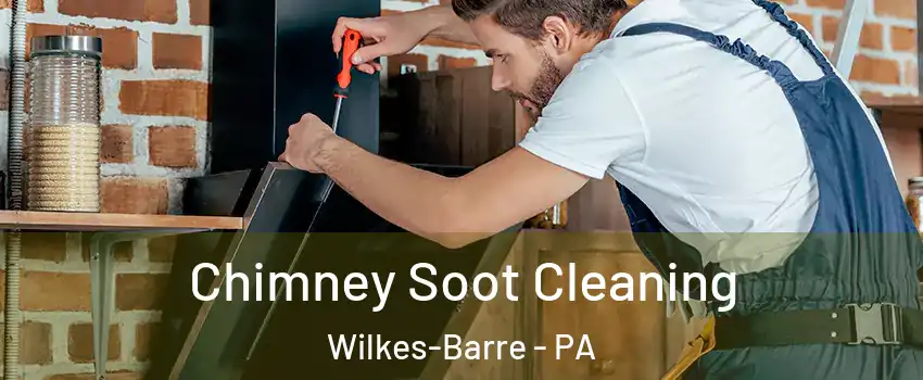  Chimney Soot Cleaning Wilkes-Barre - PA