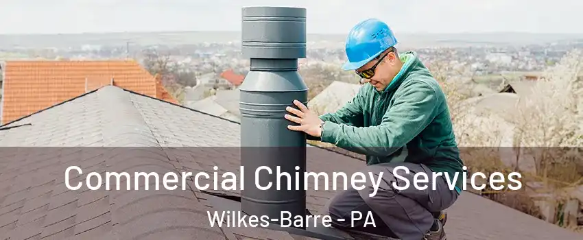  Commercial Chimney Services Wilkes-Barre - PA