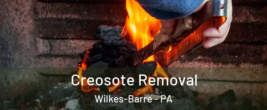  Creosote Removal Wilkes-Barre - PA