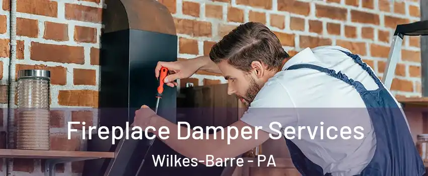  Fireplace Damper Services Wilkes-Barre - PA