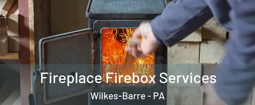 Fireplace Firebox Services Wilkes-Barre - PA