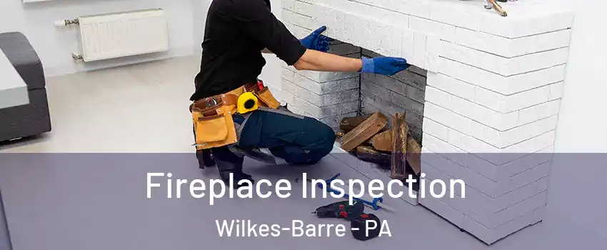  Fireplace Inspection Wilkes-Barre - PA