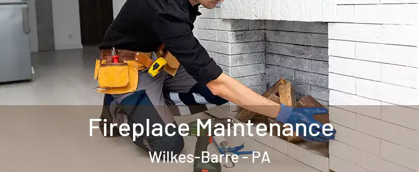  Fireplace Maintenance Wilkes-Barre - PA