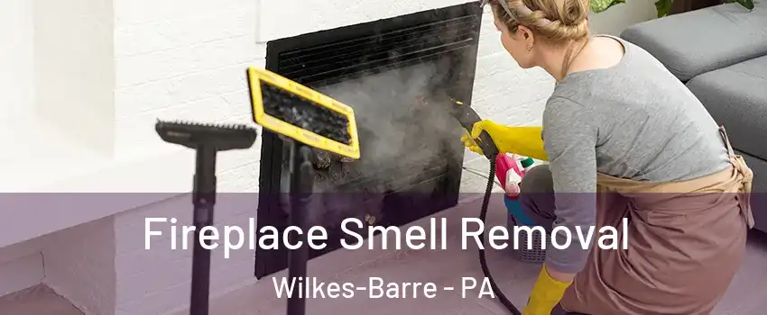  Fireplace Smell Removal Wilkes-Barre - PA