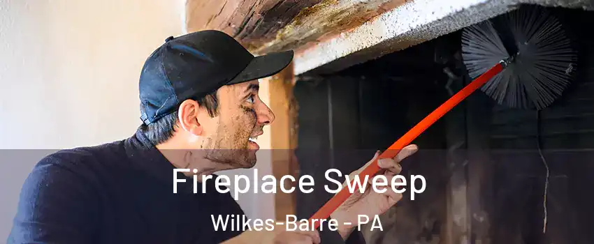  Fireplace Sweep Wilkes-Barre - PA