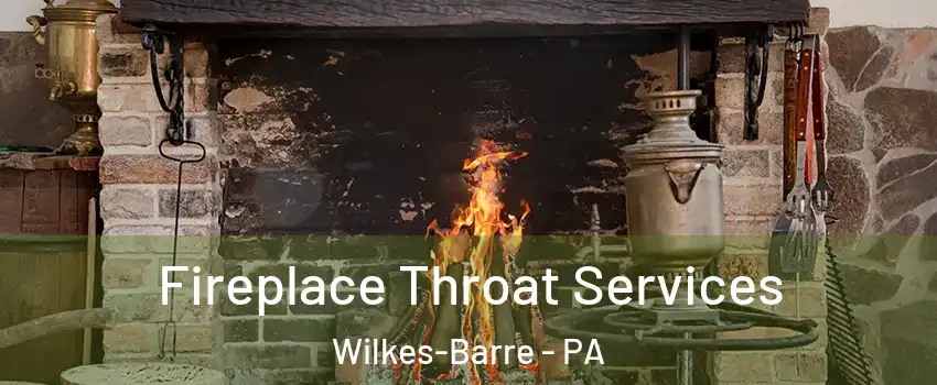  Fireplace Throat Services Wilkes-Barre - PA