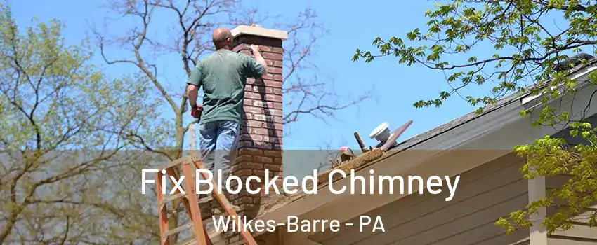  Fix Blocked Chimney Wilkes-Barre - PA