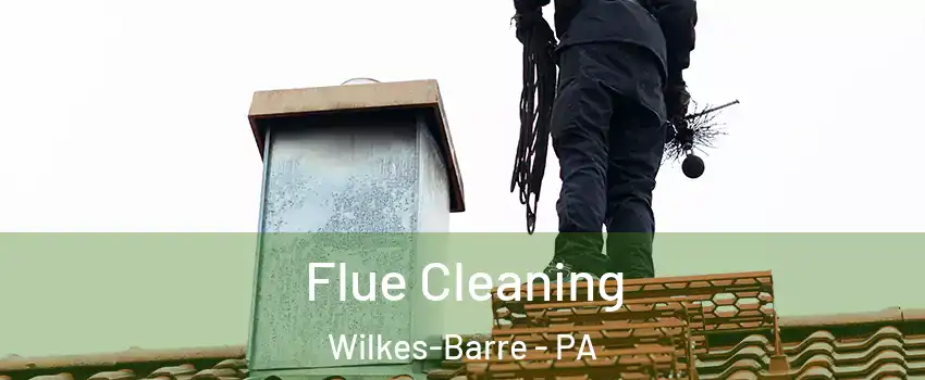  Flue Cleaning Wilkes-Barre - PA