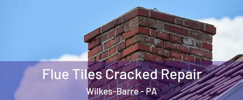  Flue Tiles Cracked Repair Wilkes-Barre - PA