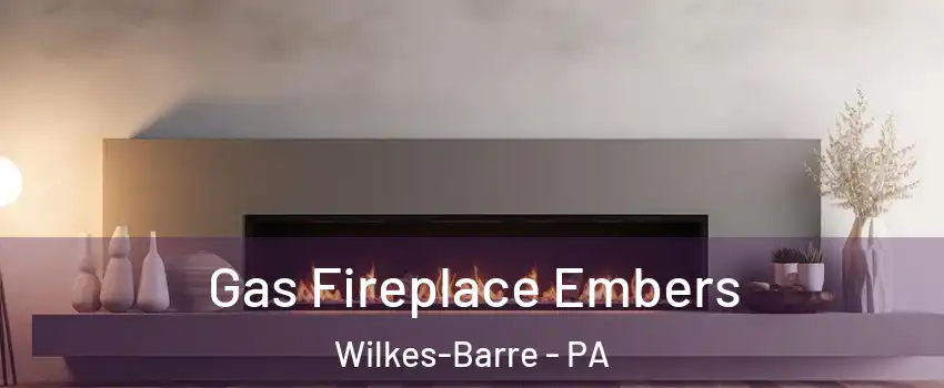  Gas Fireplace Embers Wilkes-Barre - PA