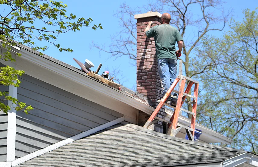 Chimney & Fireplace Inspections Services in Wilkes-Barre, PA