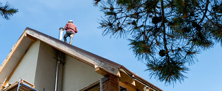 Birds Removal Contractors from Chimney in Wilkes-Barre, PA