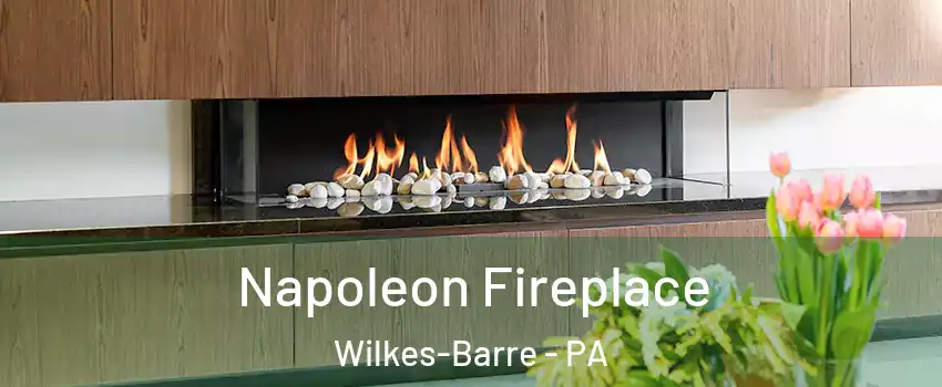  Napoleon Fireplace Wilkes-Barre - PA