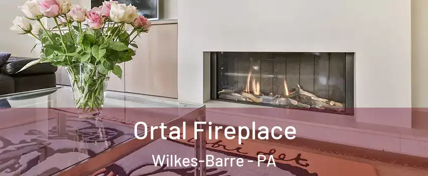Ortal Fireplace Wilkes-Barre - PA