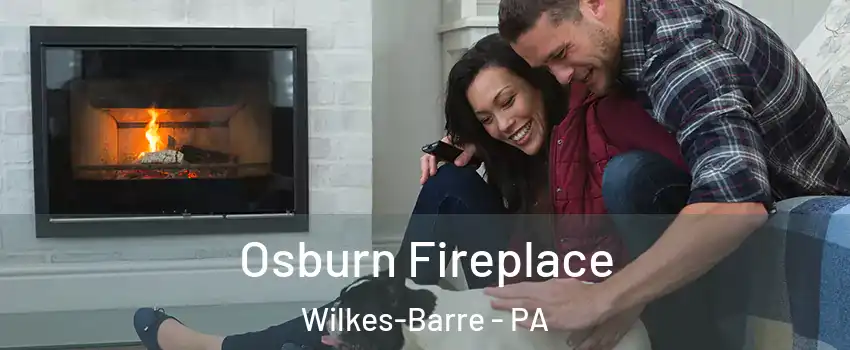  Osburn Fireplace Wilkes-Barre - PA