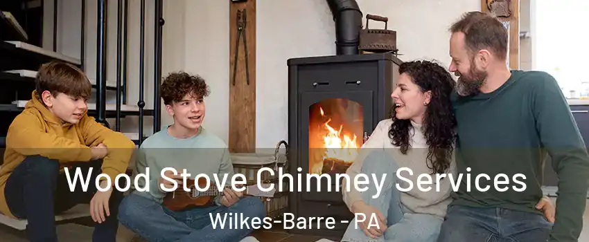  Wood Stove Chimney Services Wilkes-Barre - PA