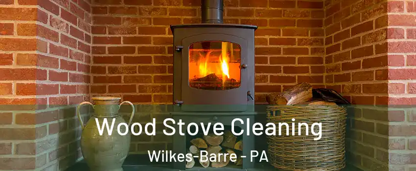  Wood Stove Cleaning Wilkes-Barre - PA